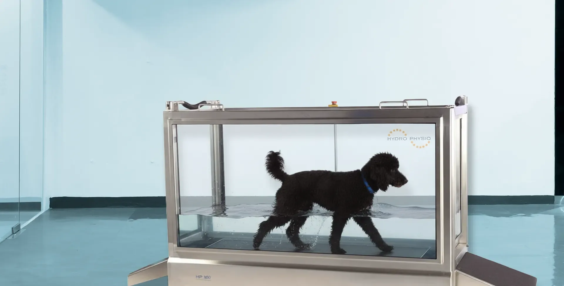 Cane nero in vasca per idroterapia presso clinica veterinaria