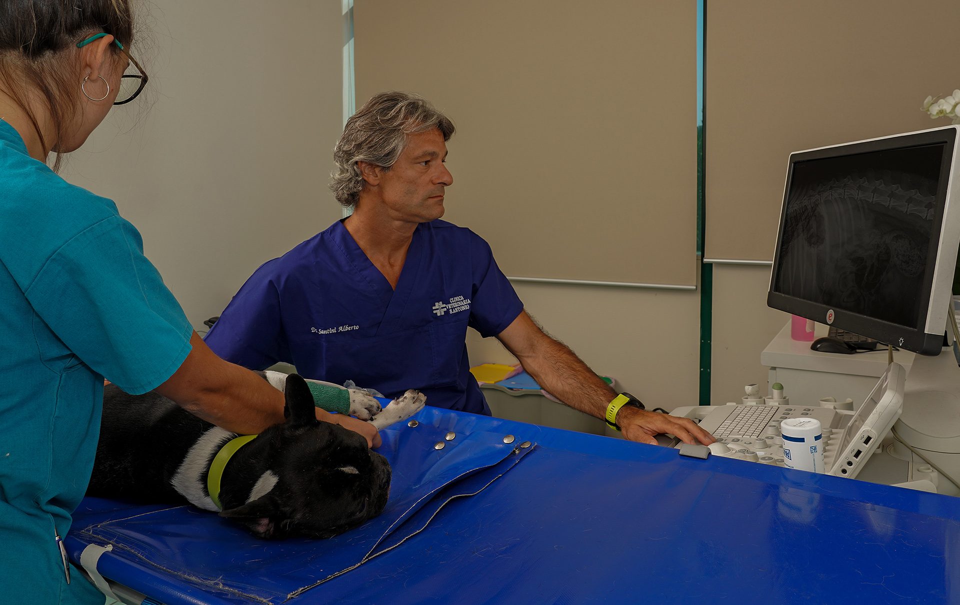 Veterinari eseguono una radiografia su un cane in clinica veterinaria