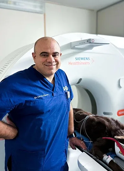 Dott. Corrado Dimauro