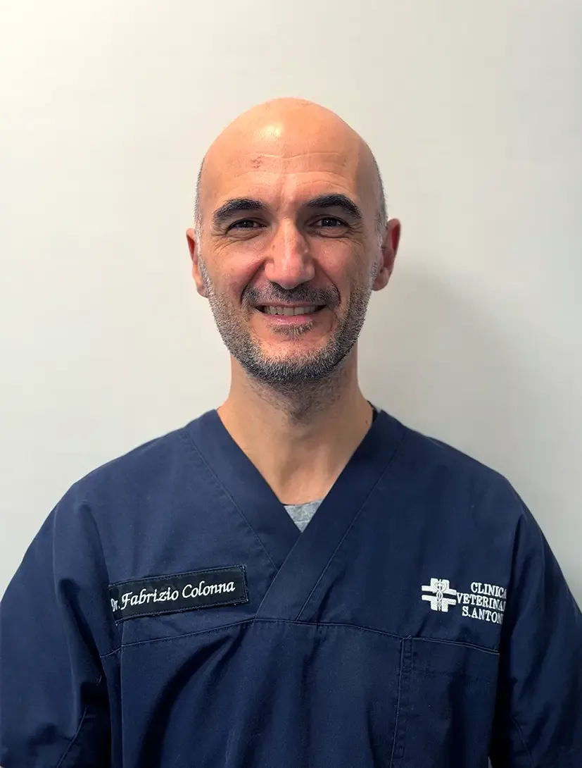 Dott. Fabrizio Colonna